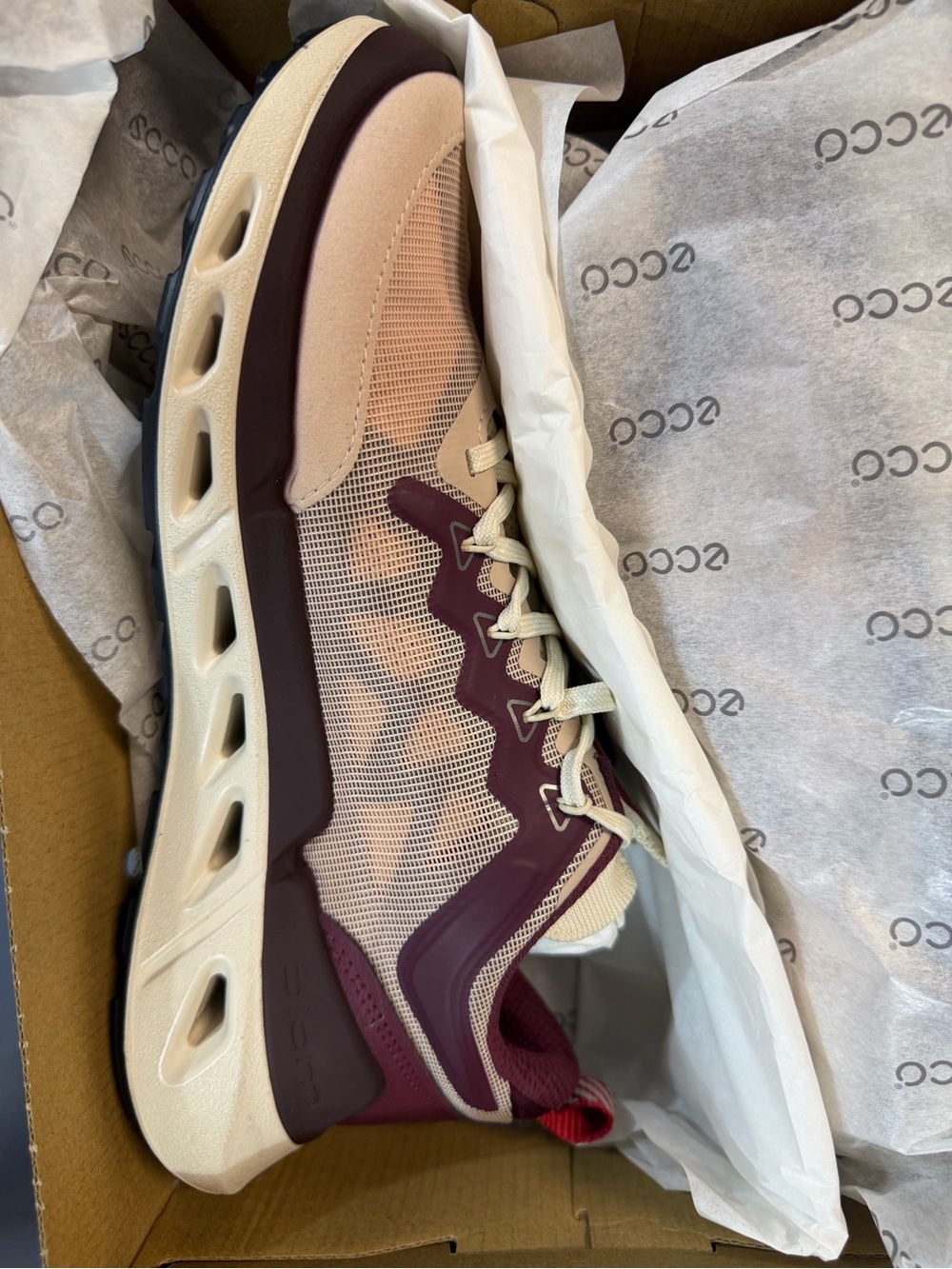 Ecco Women’s Biom 720 sneaker